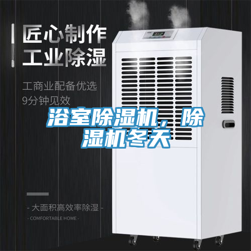浴室除濕機(jī)，除濕機(jī)冬天