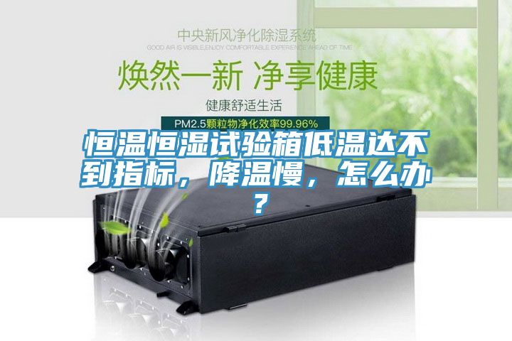 恒溫恒濕試驗箱低溫達不到指標(biāo)，降溫慢，怎么辦？