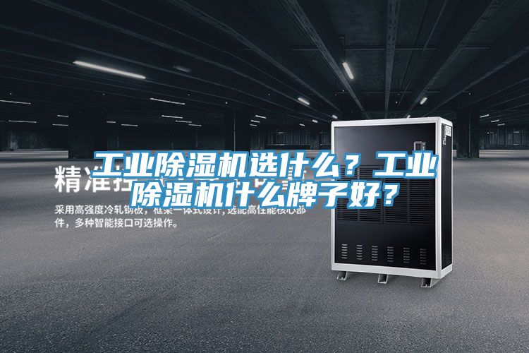 工業(yè)除濕機(jī)選什么？工業(yè)除濕機(jī)什么牌子好？