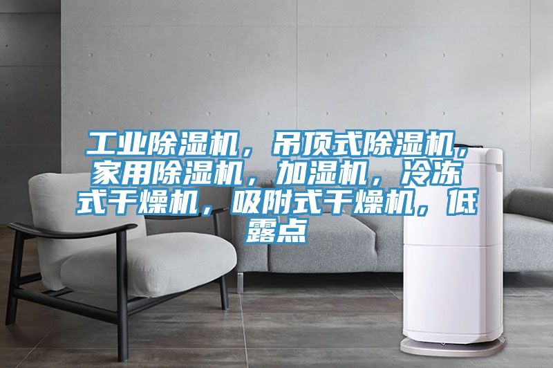 工業(yè)除濕機，吊頂式除濕機，家用除濕機，加濕機，冷凍式干燥機，吸附式干燥機，低露點