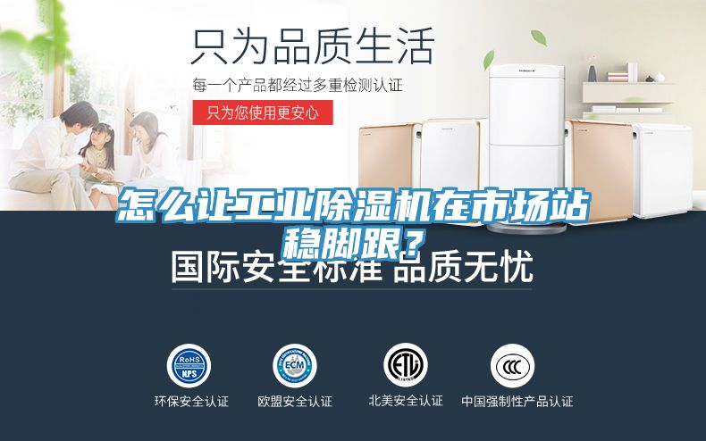 怎么讓工業(yè)除濕機(jī)在市場(chǎng)站穩(wěn)腳跟？