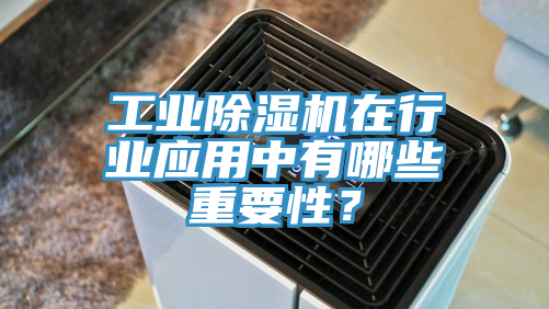 工業(yè)除濕機在行業(yè)應(yīng)用中有哪些重要性？