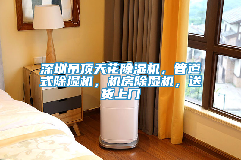 深圳吊頂天花除濕機(jī)，管道式除濕機(jī)，機(jī)房除濕機(jī)，送貨上門