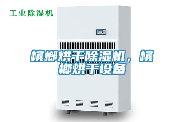 檳榔烘干除濕機(jī)，檳榔烘干設(shè)備