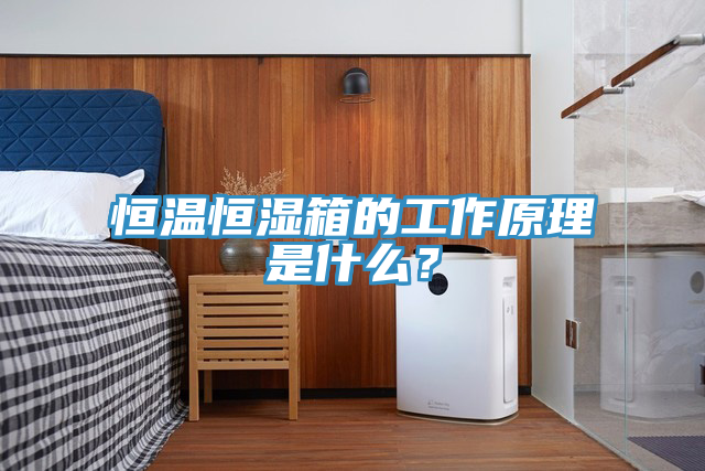 恒溫恒濕箱的工作原理是什么？