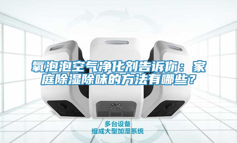氧泡泡空氣凈化劑告訴你：家庭除濕除味的方法有哪些？
