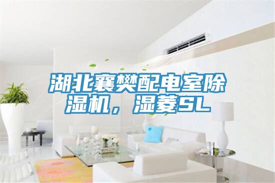 湖北襄樊配電室除濕機(jī)，濕菱SL