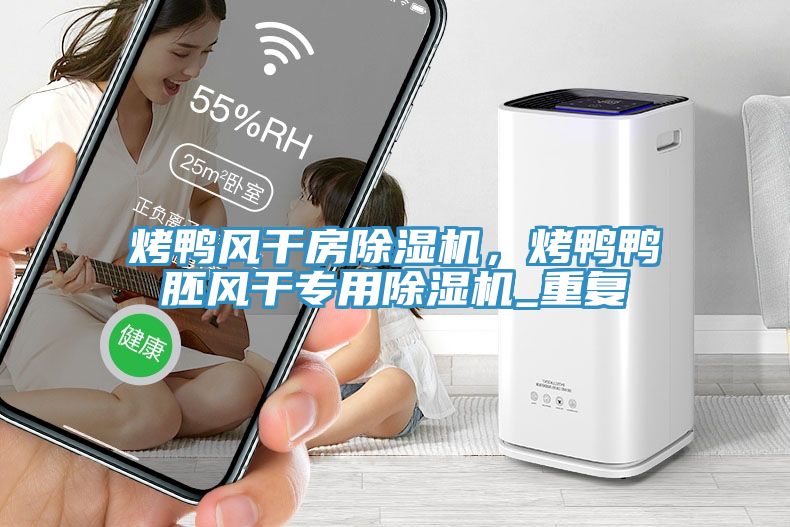 烤鴨風(fēng)干房除濕機(jī)，烤鴨鴨胚風(fēng)干專用除濕機(jī)_重復(fù)