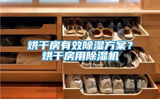 烘干房有效除濕方案？烘干房用除濕機(jī)