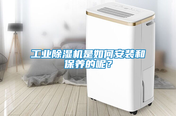 工業(yè)除濕機是如何安裝和保養(yǎng)的呢？
