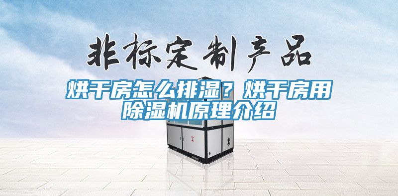 烘干房怎么排濕？烘干房用除濕機(jī)原理介紹