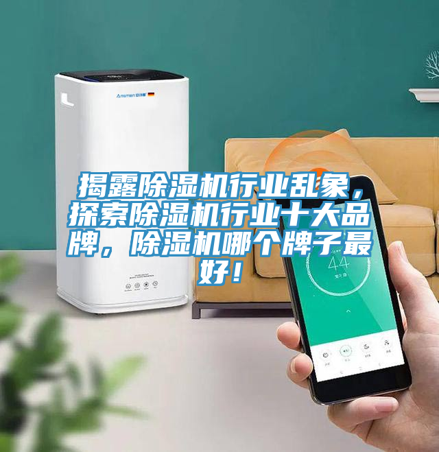 揭露除濕機行業(yè)亂象，探索除濕機行業(yè)十大品牌，除濕機哪個牌子最好！