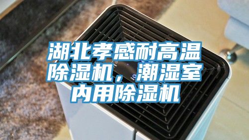 湖北孝感耐高溫除濕機(jī)，潮濕室內(nèi)用除濕機(jī)