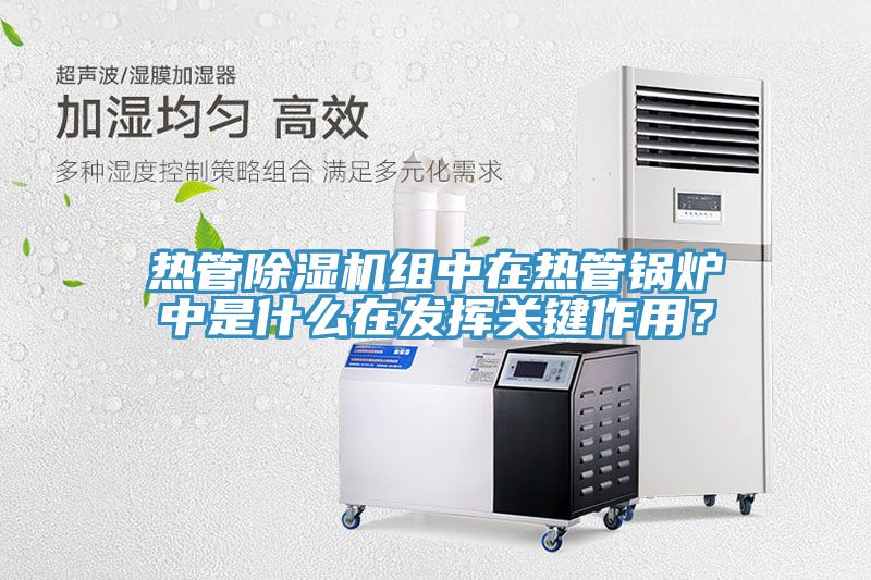 熱管除濕機組中在熱管鍋爐中是什么在發(fā)揮關鍵作用？