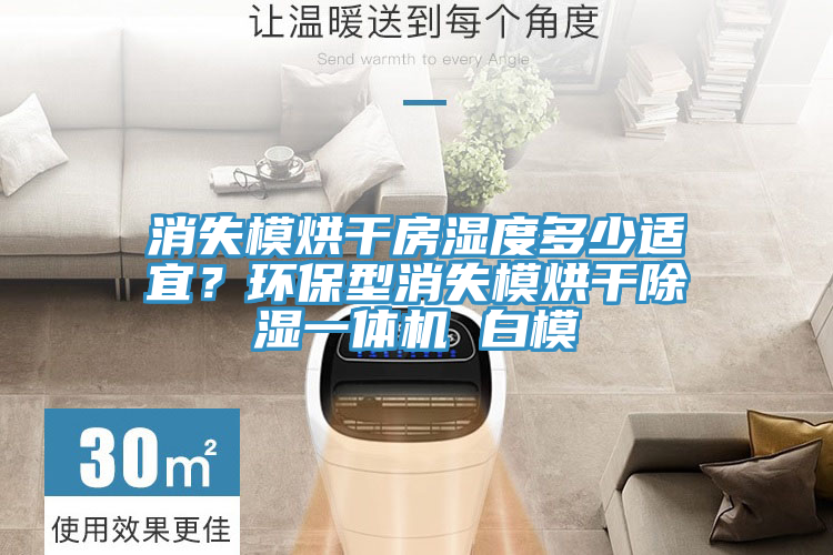消失模烘干房濕度多少適宜？環(huán)保型消失模烘干除濕一體機(jī) 白模