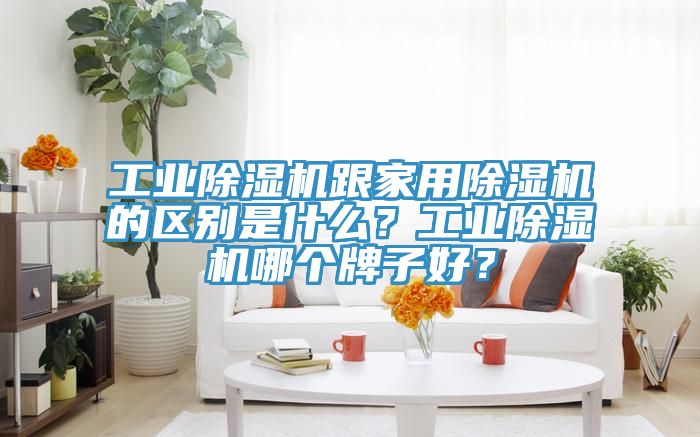 工業(yè)除濕機(jī)跟家用除濕機(jī)的區(qū)別是什么？工業(yè)除濕機(jī)哪個(gè)牌子好？