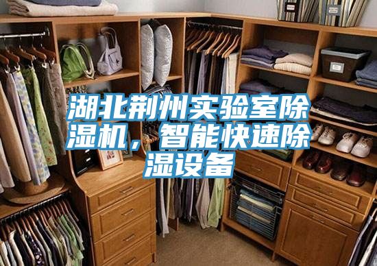 湖北荊州實(shí)驗(yàn)室除濕機(jī)，智能快速除濕設(shè)備