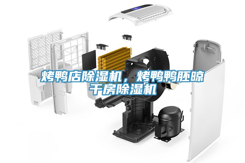 烤鴨店除濕機(jī)，烤鴨鴨胚晾干房除濕機(jī)