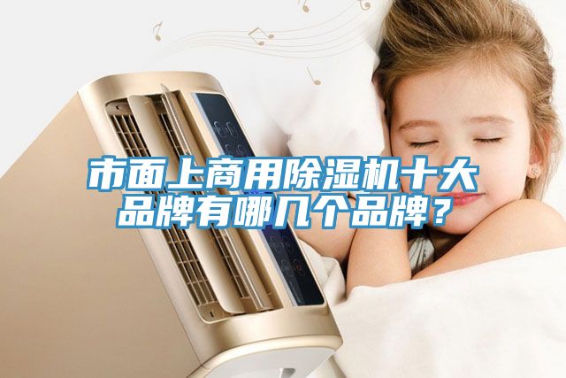 市面上商用除濕機(jī)十大品牌有哪幾個(gè)品牌？