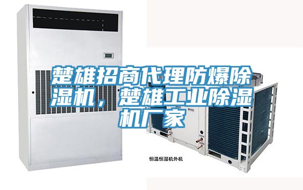 楚雄招商代理防爆除濕機(jī)，楚雄工業(yè)除濕機(jī)廠家
