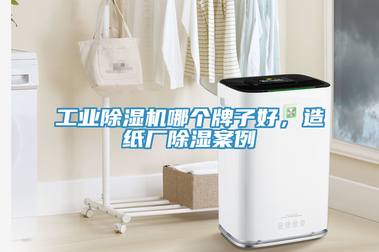 工業(yè)除濕機(jī)哪個(gè)牌子好，造紙廠除濕案例