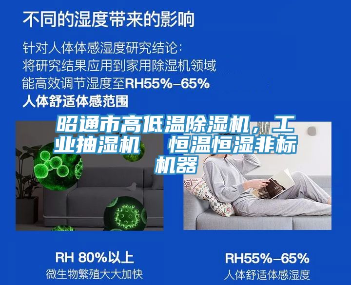 昭通市高低溫除濕機(jī)，工業(yè)抽濕機(jī)  恒溫恒濕非標(biāo)機(jī)器