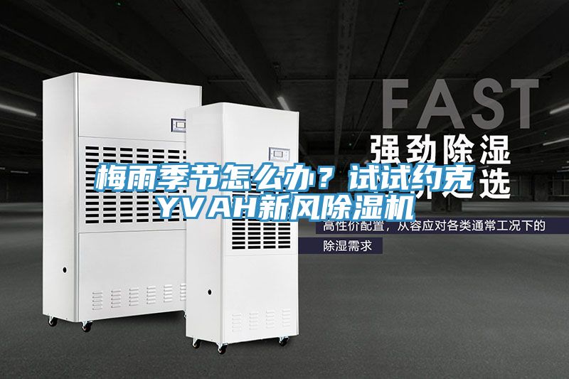 梅雨季節(jié)怎么辦？試試約克YVAH新風(fēng)除濕機(jī)