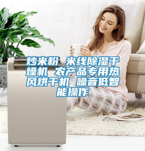 炒米粉 米線(xiàn)除濕干燥機(jī) 農(nóng)產(chǎn)品專(zhuān)用熱風(fēng)烘干機(jī) 噪音低智能操作