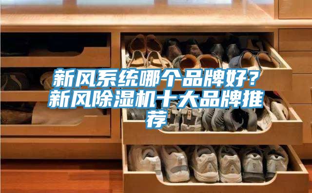 新風(fēng)系統(tǒng)哪個品牌好？新風(fēng)除濕機(jī)十大品牌推薦