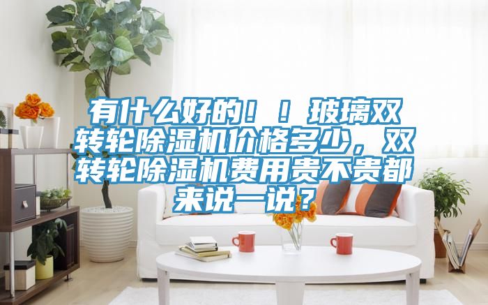 有什么好的?。〔Ａщp轉(zhuǎn)輪除濕機(jī)價(jià)格多少，雙轉(zhuǎn)輪除濕機(jī)費(fèi)用貴不貴都來說一說？