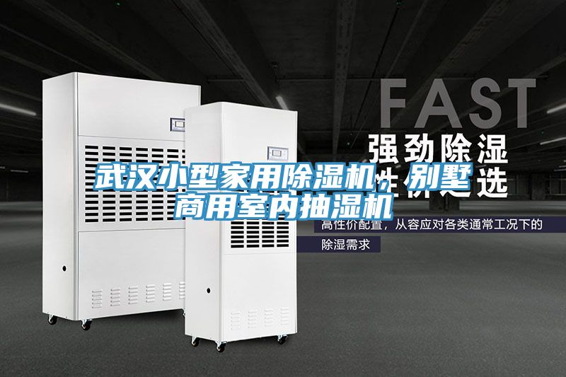 武漢小型家用除濕機(jī)，別墅商用室內(nèi)抽濕機(jī)