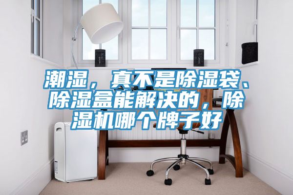 潮濕，真不是除濕袋、除濕盒能解決的，除濕機(jī)哪個(gè)牌子好