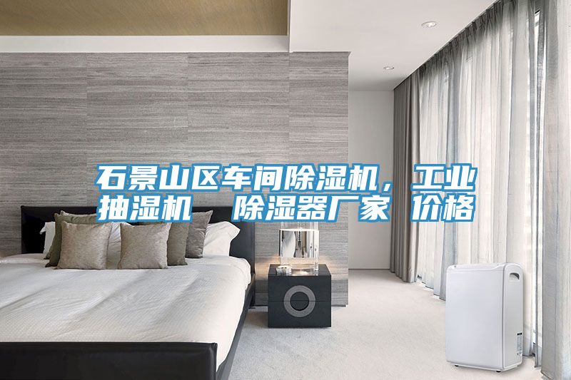 石景山區(qū)車(chē)間除濕機(jī)，工業(yè)抽濕機(jī)  除濕器廠家 價(jià)格
