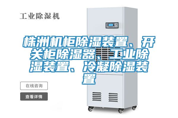 株洲機柜除濕裝置、開關(guān)柜除濕器、工業(yè)除濕裝置、冷凝除濕裝置