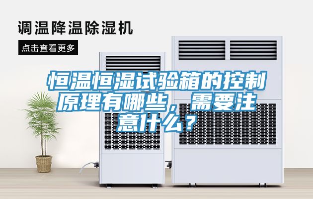 恒溫恒濕試驗(yàn)箱的控制原理有哪些，需要注意什么？