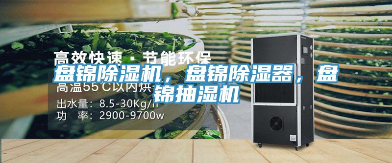 盤錦除濕機，盤錦除濕器，盤錦抽濕機
