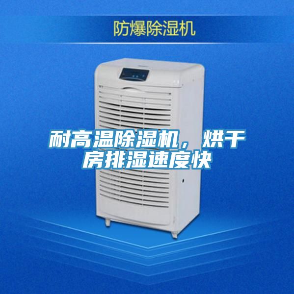 耐高溫除濕機(jī)，烘干房排濕速度快