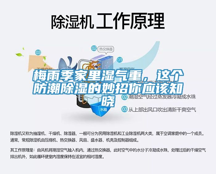 梅雨季家里濕氣重，這個(gè)防潮除濕的妙招你應(yīng)該知曉