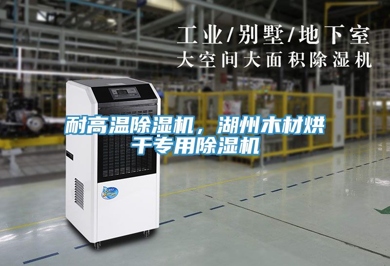 耐高溫除濕機(jī)，湖州木材烘干專(zhuān)用除濕機(jī)