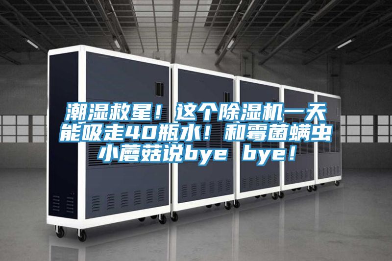潮濕救星！這個除濕機一天能吸走40瓶水！和霉菌螨蟲小蘑菇說bye bye！