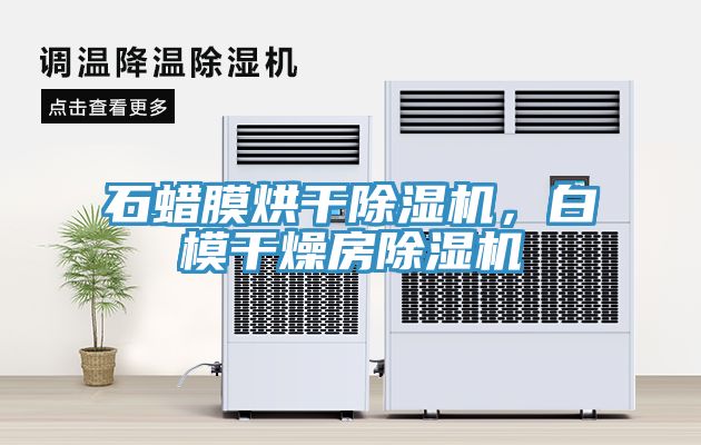 石蠟?zāi)ず娓沙凉駲C(jī)，白模干燥房除濕機(jī)