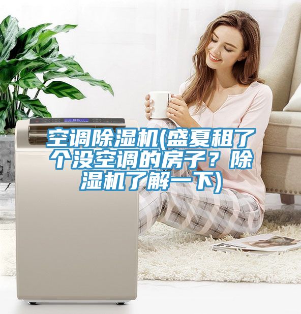 空調(diào)除濕機(盛夏租了個沒空調(diào)的房子？除濕機了解一下)