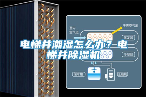 電梯井潮濕怎么辦？電梯井除濕機