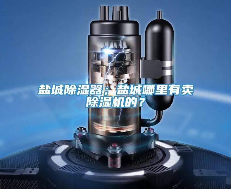 鹽城除濕器；鹽城哪里有賣除濕機的？