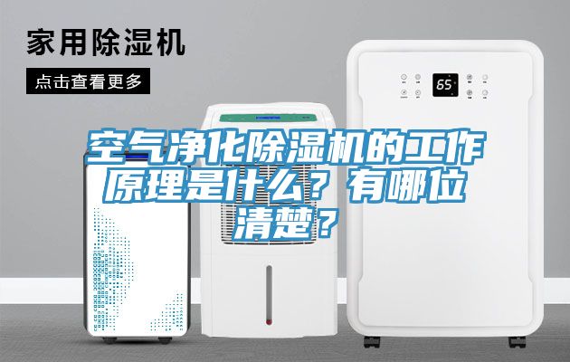 空氣凈化除濕機(jī)的工作原理是什么？有哪位清楚？