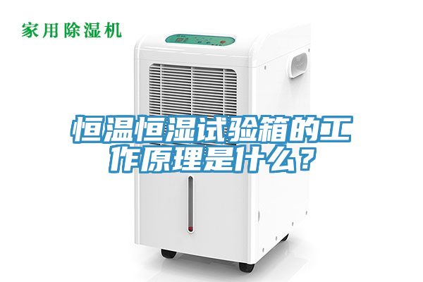 恒溫恒濕試驗(yàn)箱的工作原理是什么？