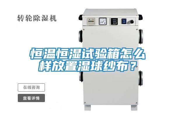 恒溫恒濕試驗箱怎么樣放置濕球紗布？