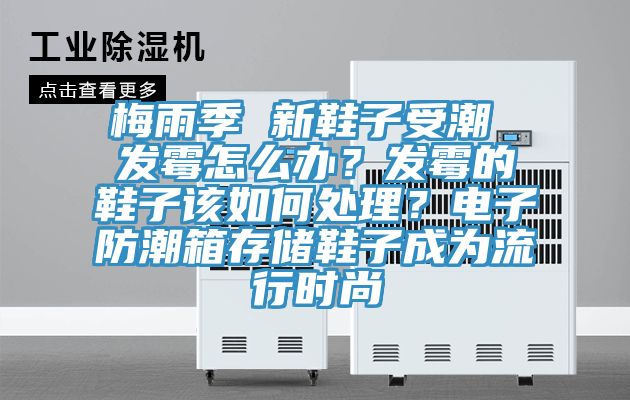 梅雨季 新鞋子受潮 發(fā)霉怎么辦？發(fā)霉的鞋子該如何處理？電子防潮箱存儲鞋子成為流行時尚