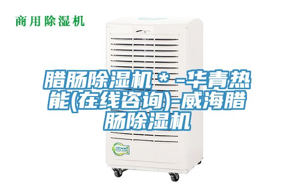 臘腸除濕機(jī)＊-華青熱能(在線(xiàn)咨詢(xún))-威海臘腸除濕機(jī)
