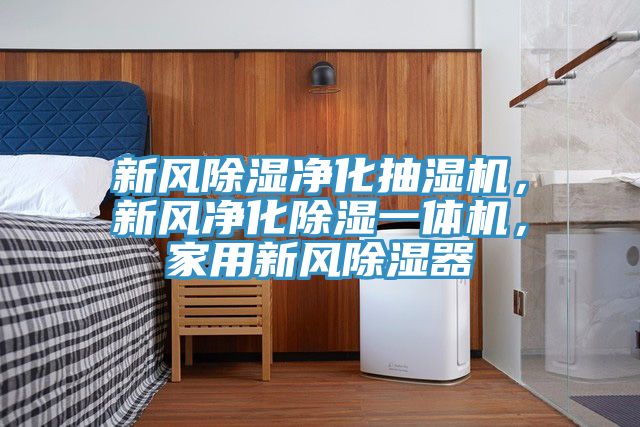 新風除濕凈化抽濕機，新風凈化除濕一體機，家用新風除濕器